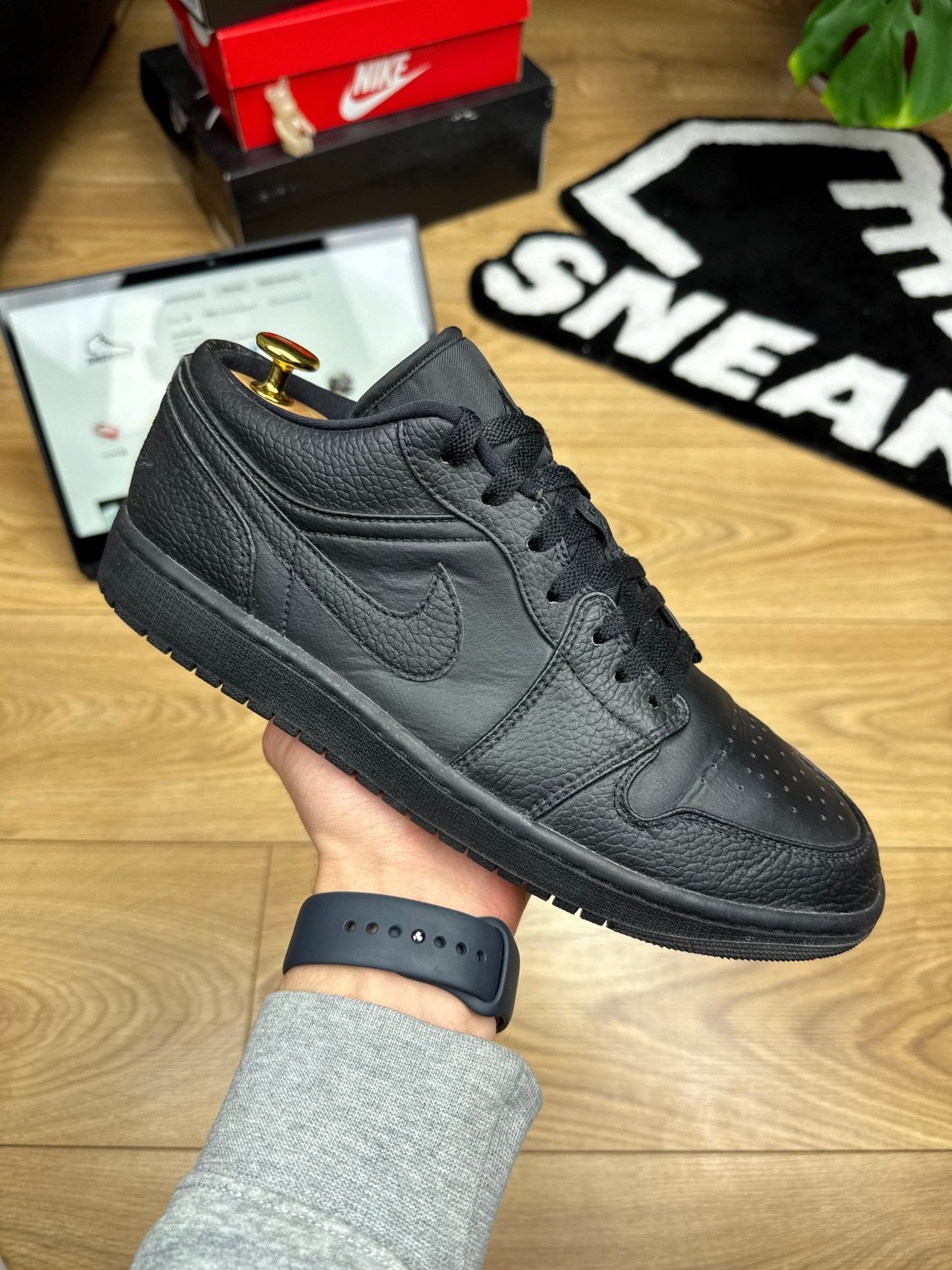 Nike Air Jordan 1 Low (44)