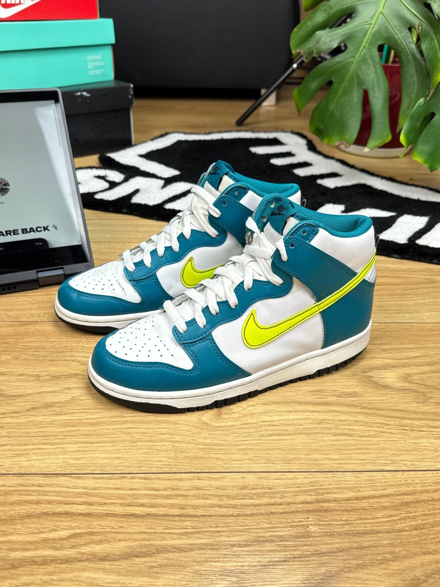 Nike Dunk High (40)