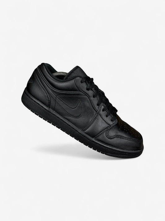 Nike Air Jordan 1 Low (44)