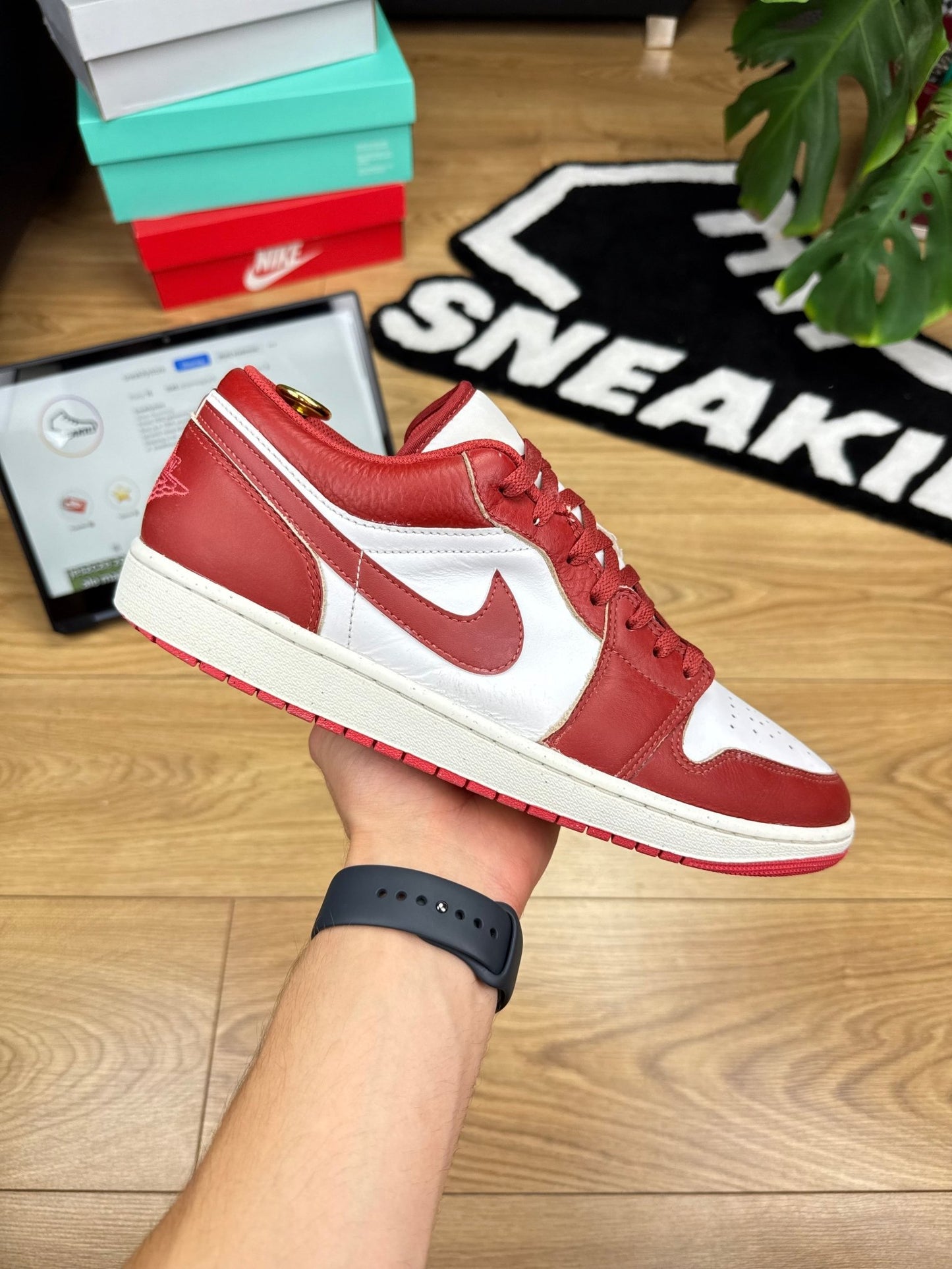 Nike Air Jordan 1 Low (46)