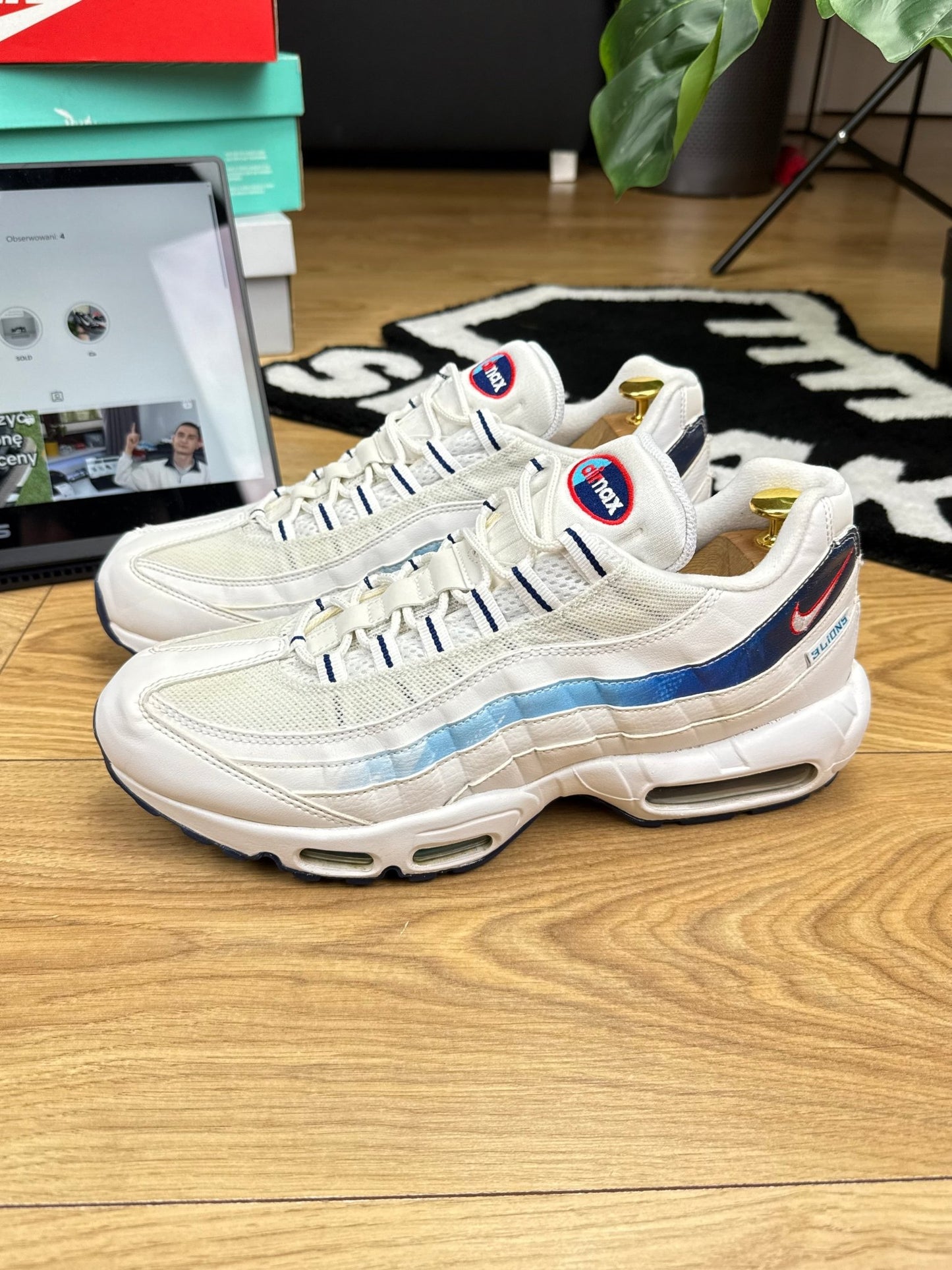 Nike Air Max 95 (46)