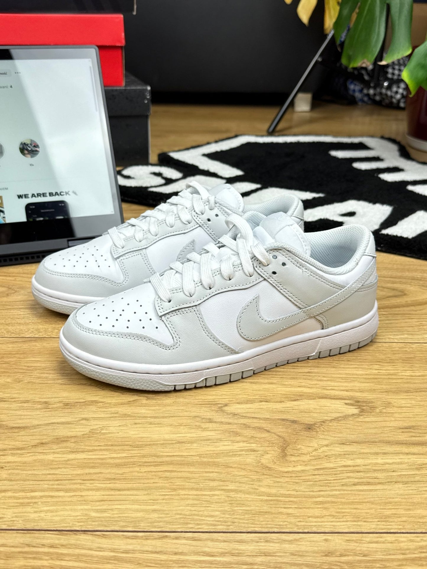 Nike Dunk Low (39)