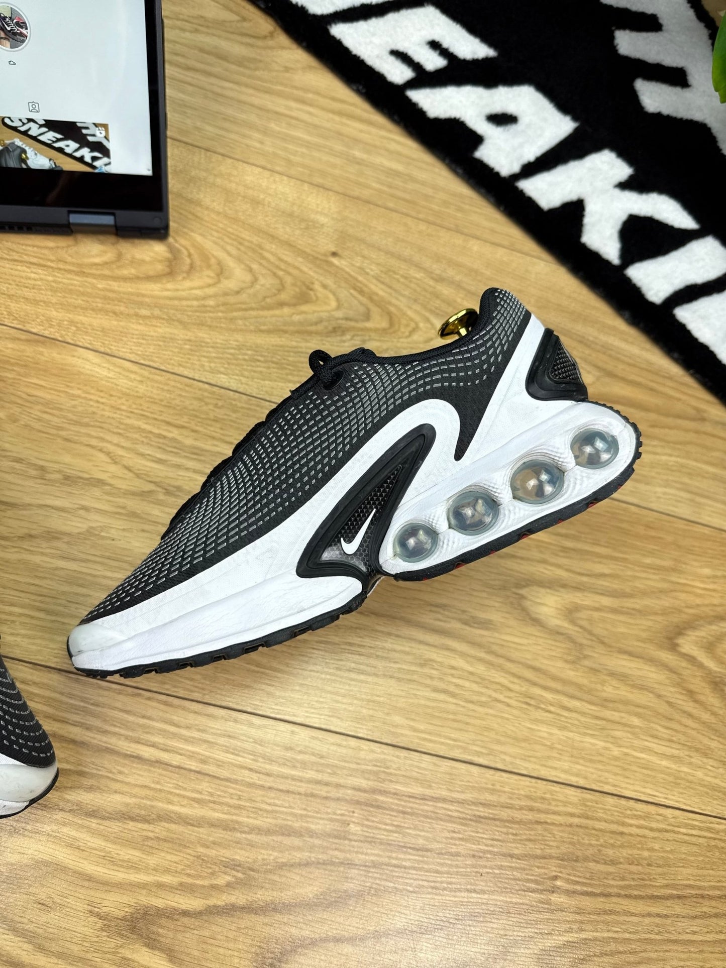 Nike Air Max DN (41)