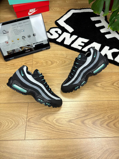 Nike Air Max 95 (45)