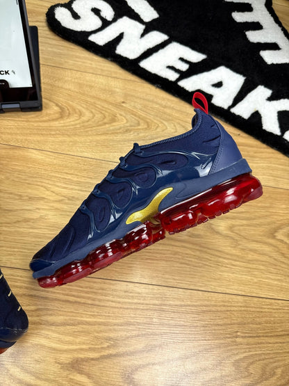 Nike Air Vapormax Plus (44)