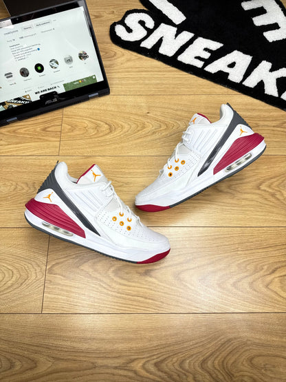 Nike Air Jordan Max Aura 5 (46)