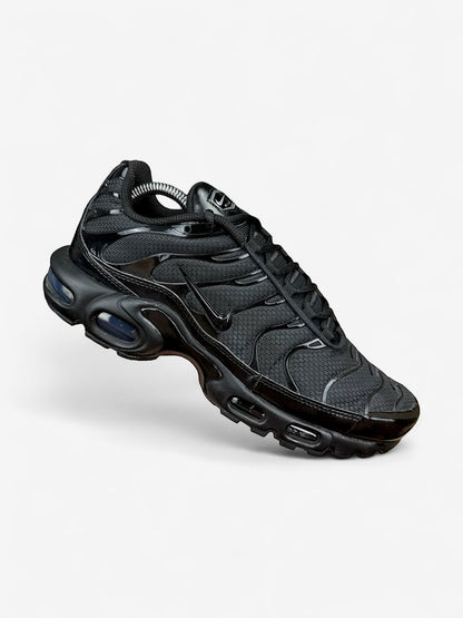 Nike Air Max Plus TN (43)