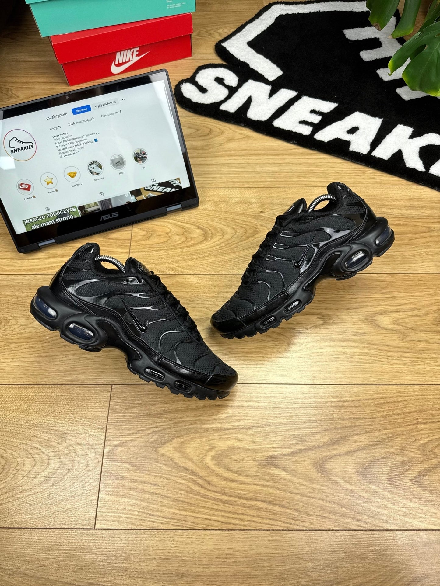 Nike Air Max Plus TN (43)