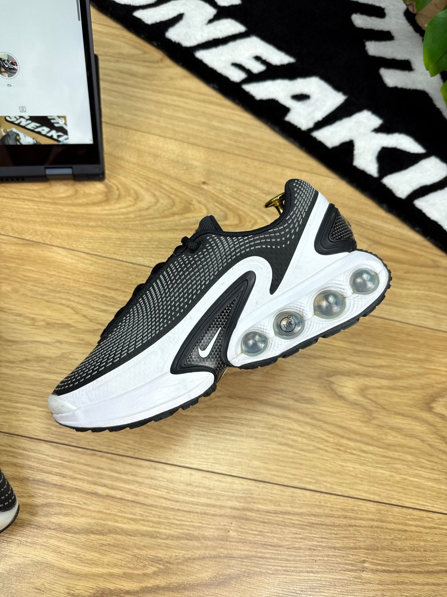 Nike Air Max DN (41)