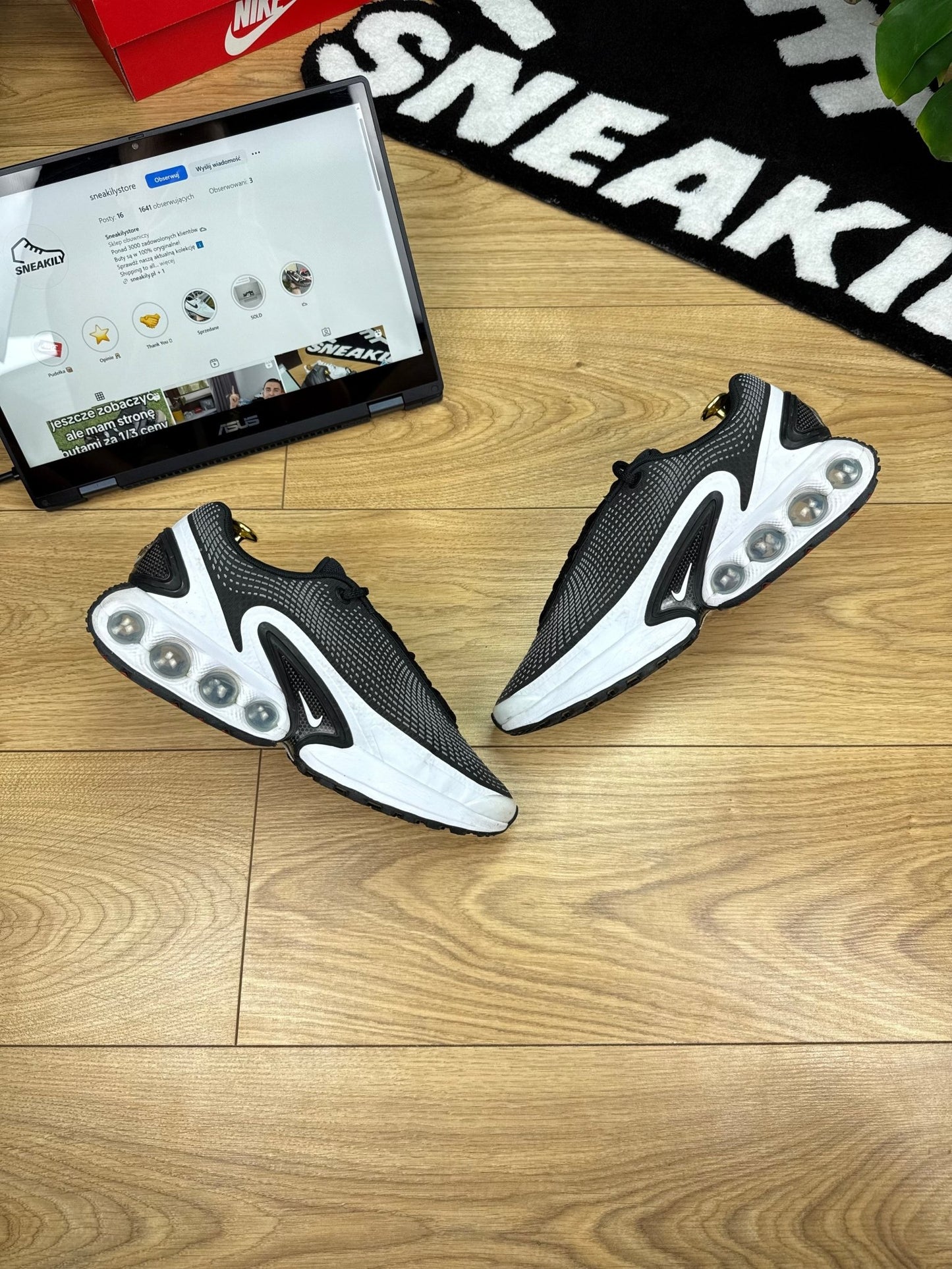Nike Air Max DN (41)