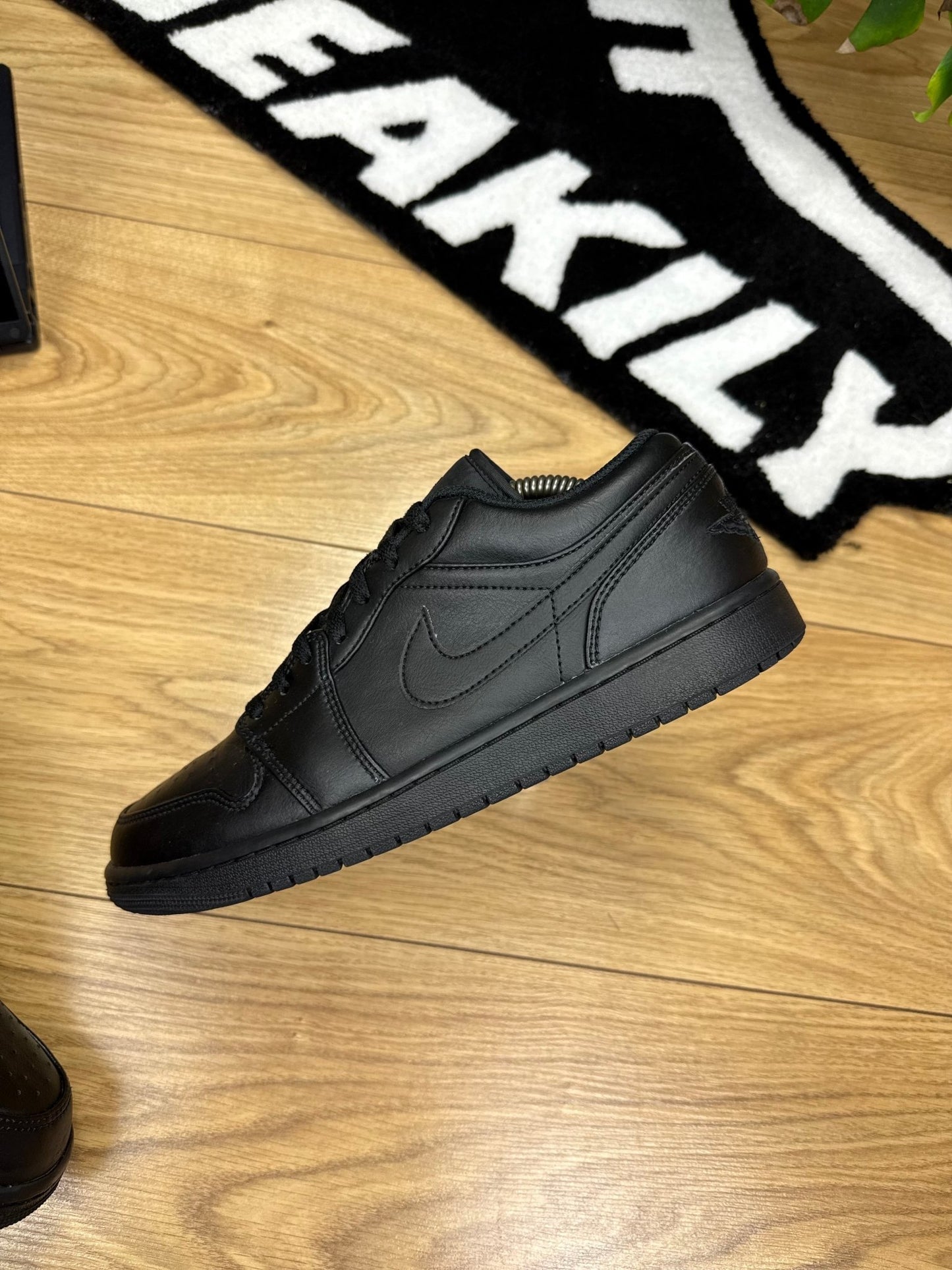 Nike Air Jordan 1 Low (44)