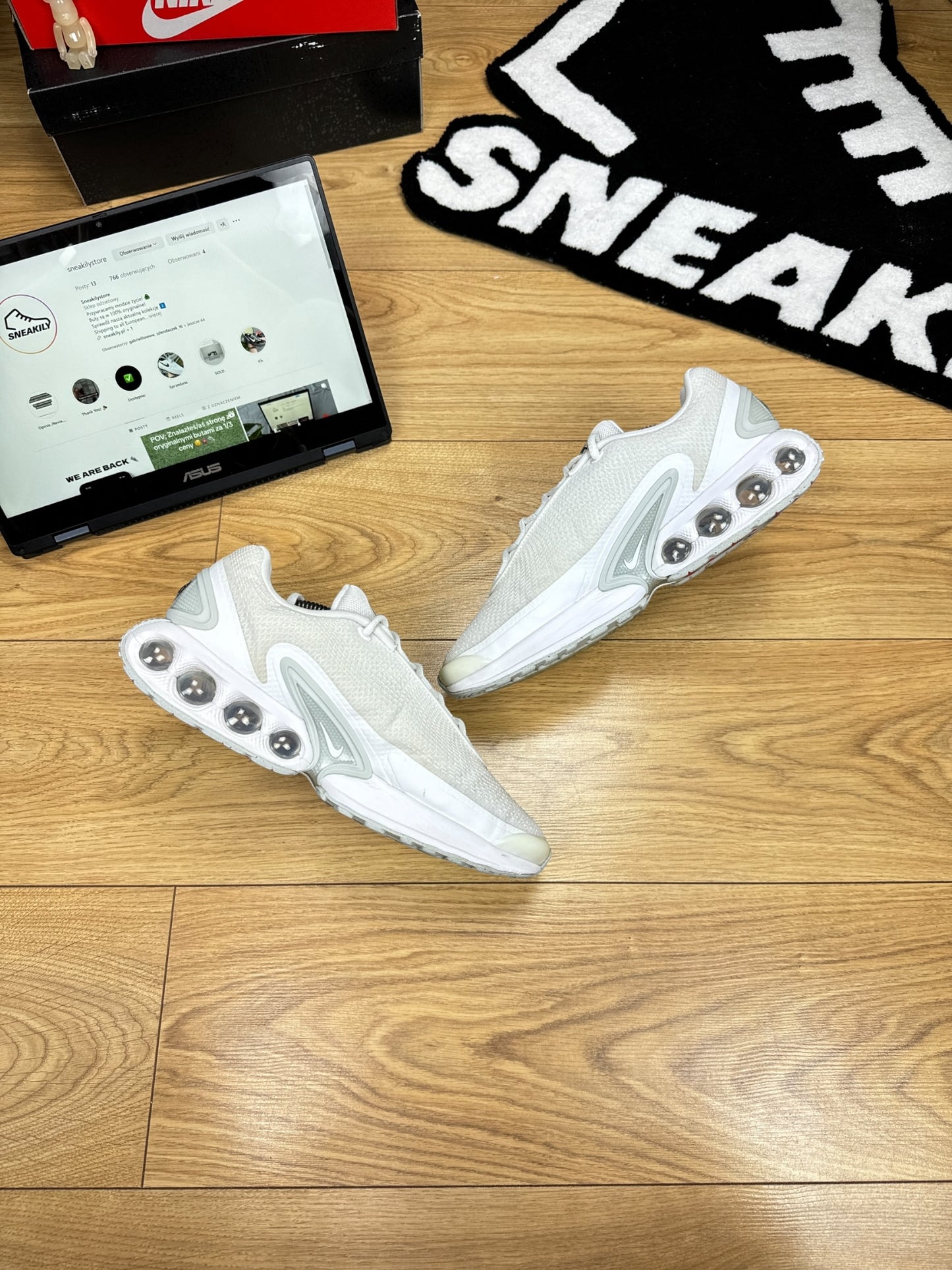 Nike Air Max DN (45)