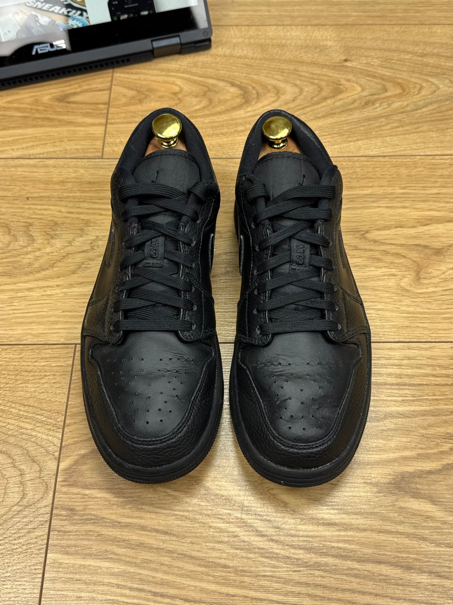 Nike Air Jordan 1 Low (42)