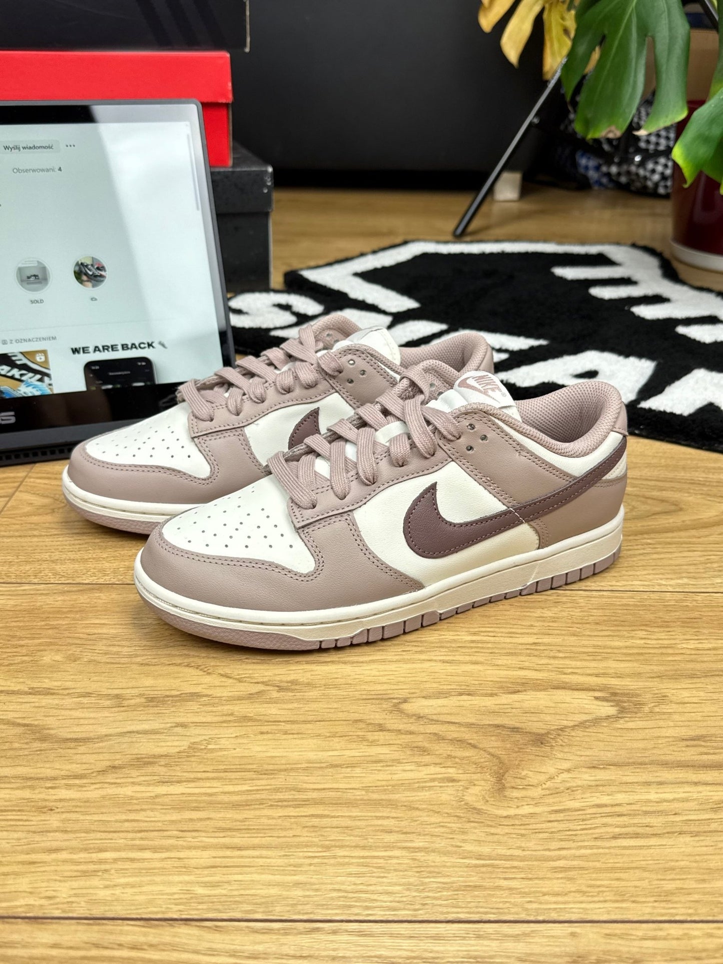 Nike Dunk Low (40)