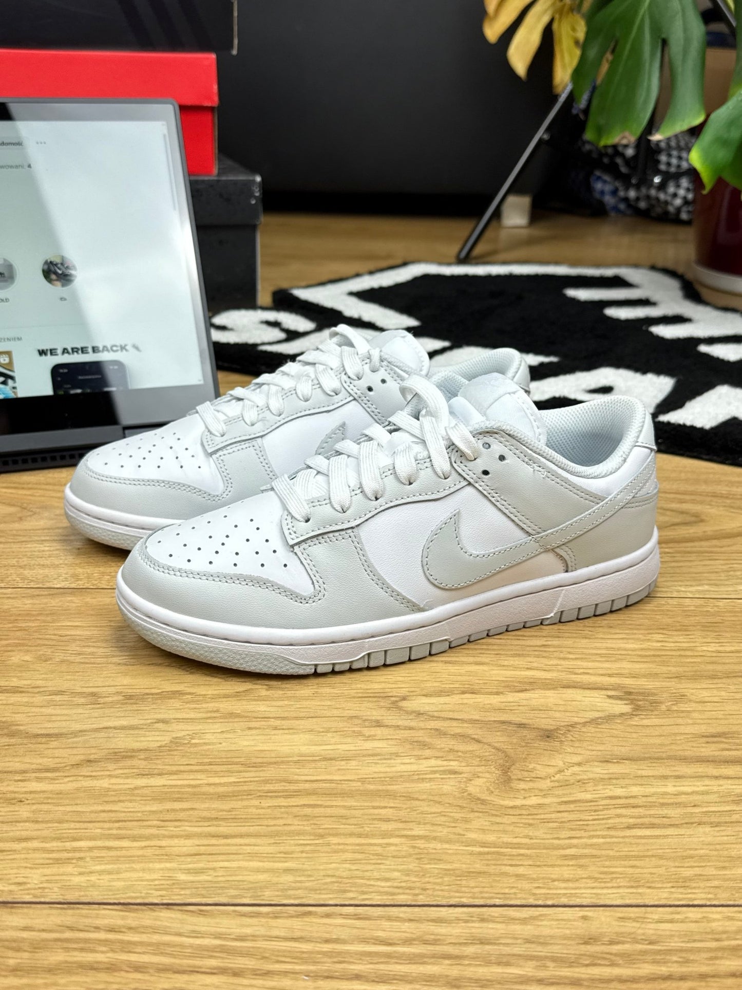 Nike Dunk Low (39)