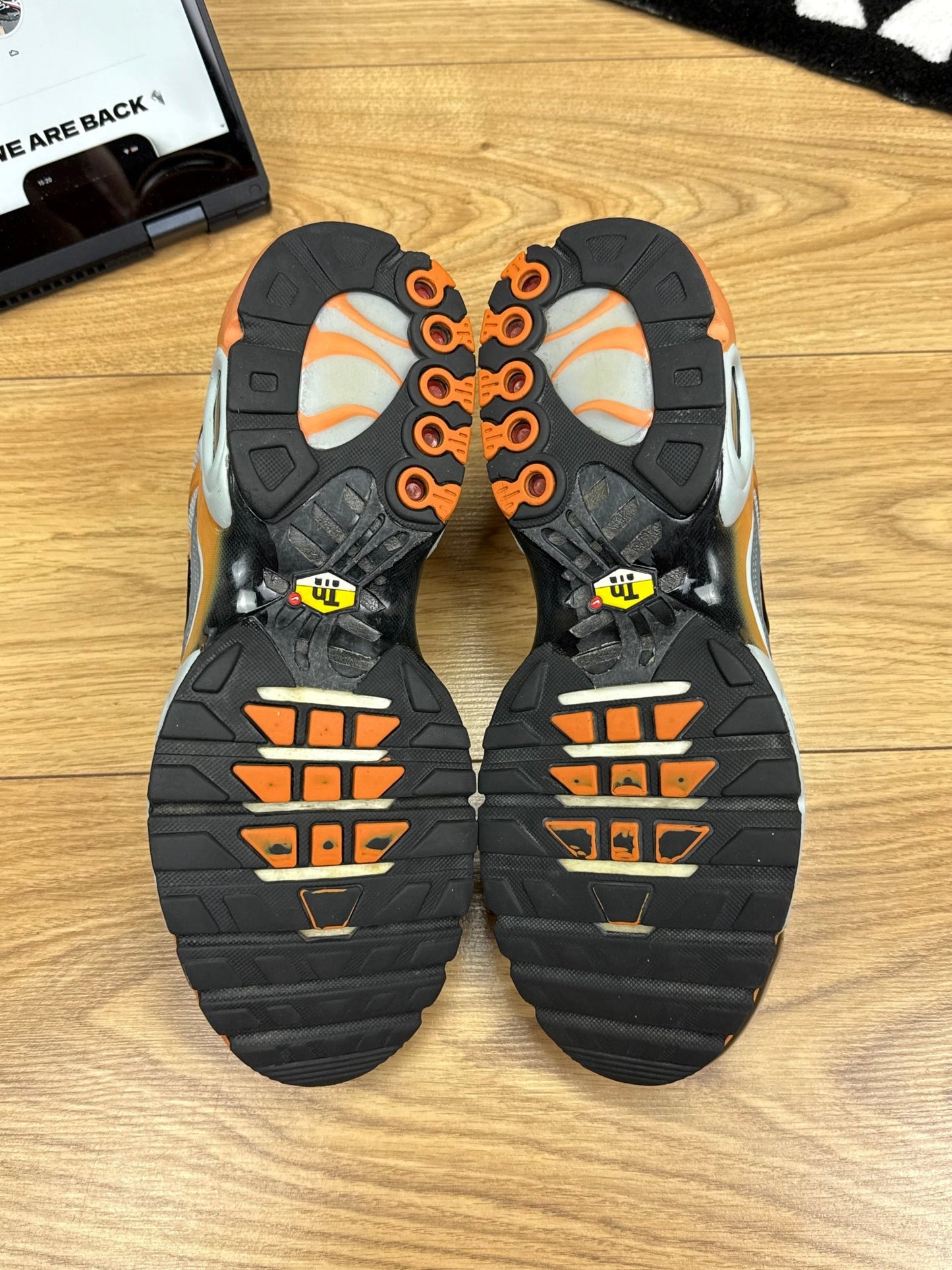 Nike Air Max Plus TN (44)