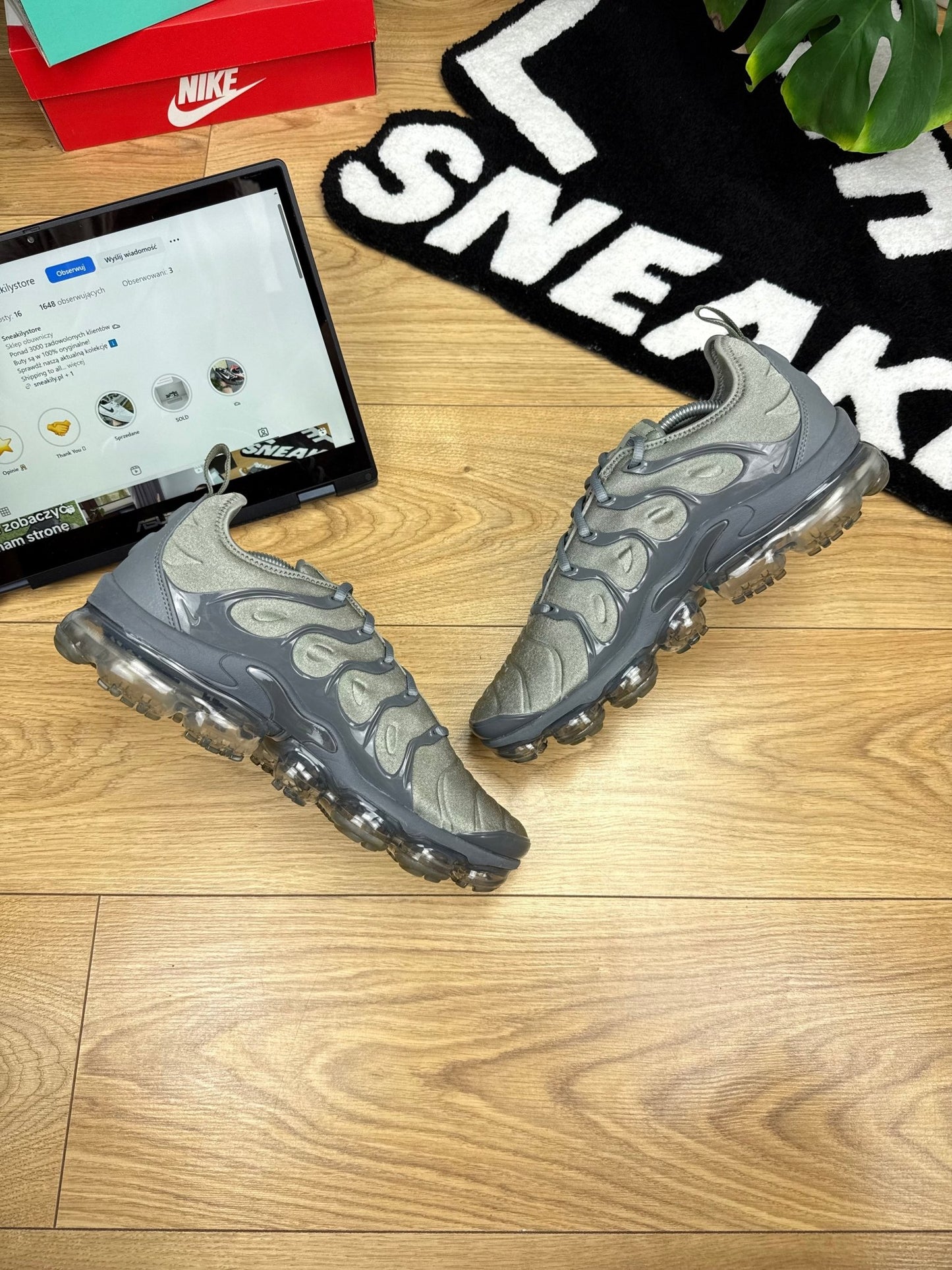 Nike Air Vapormax Plus (45)