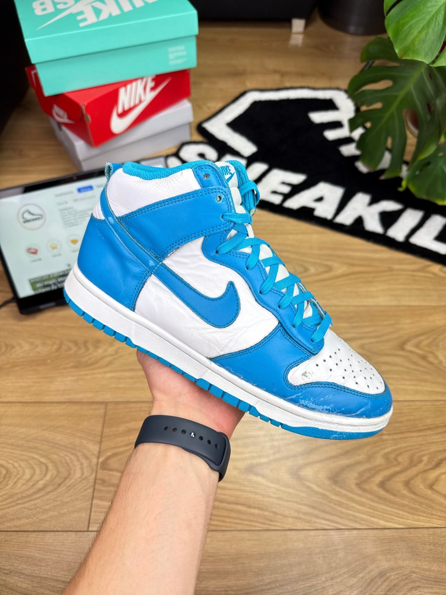 Nike Dunk High (43)