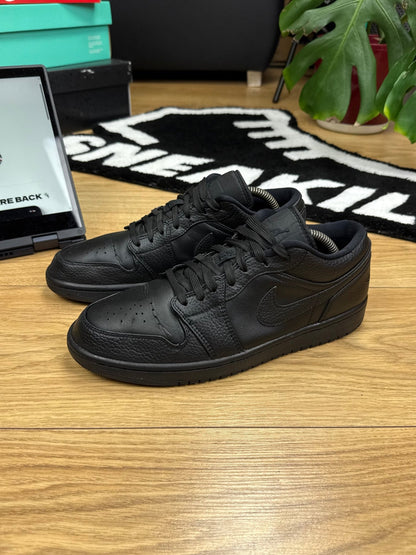 Nike Air Jordan 1 Low (43)
