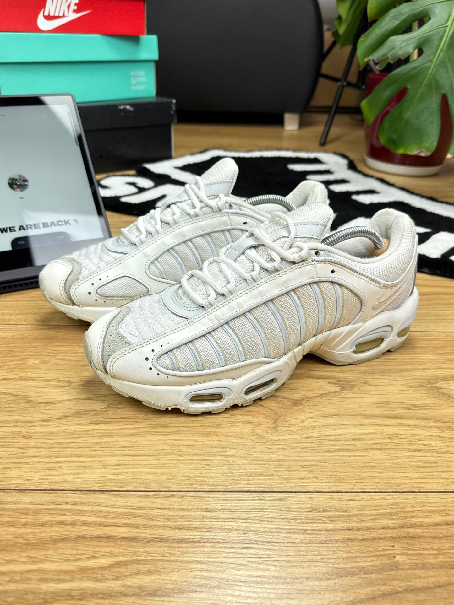 Nike Air Max Tailwind IV (45)