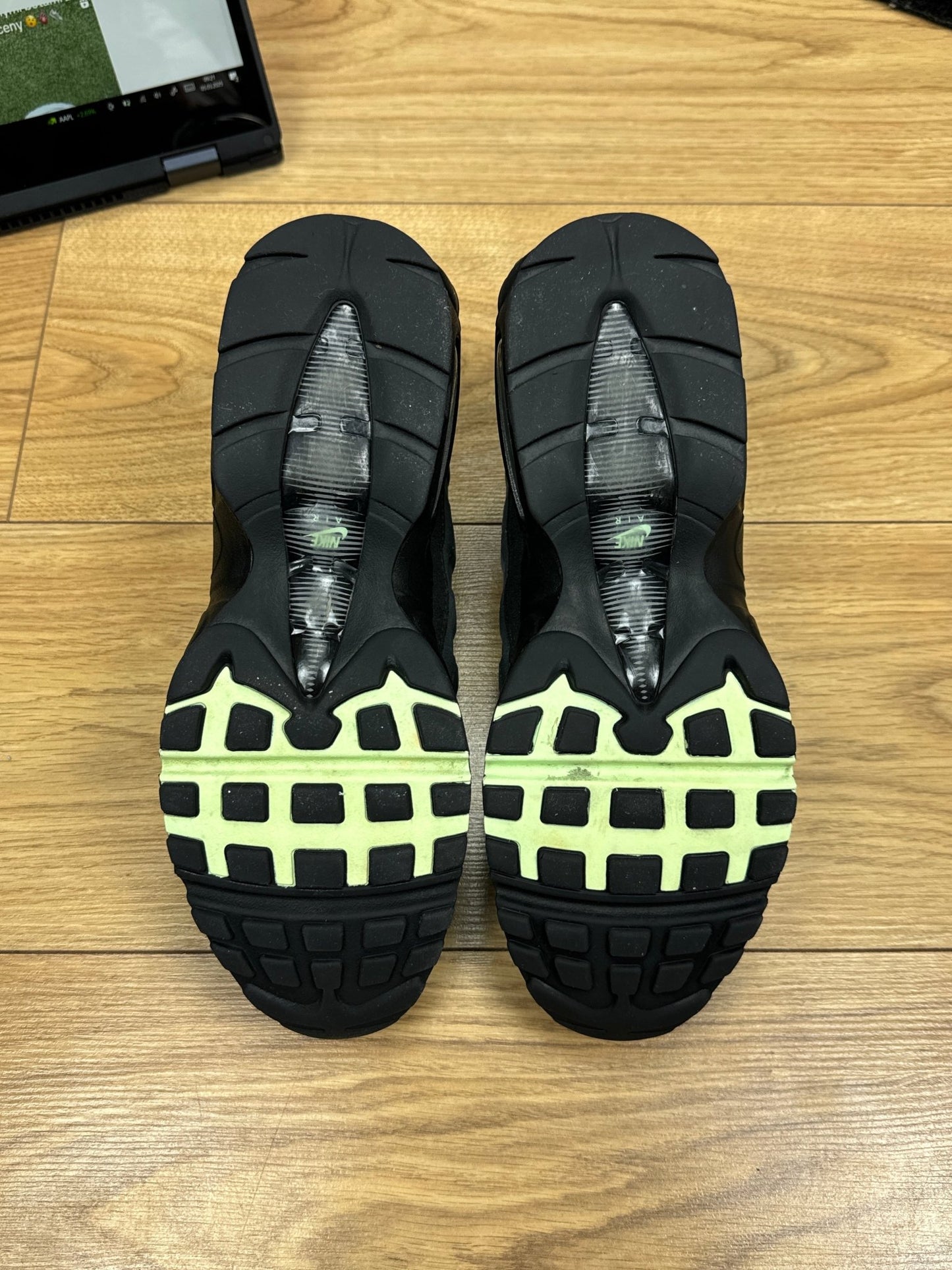 Nike Air Max 95 (43)