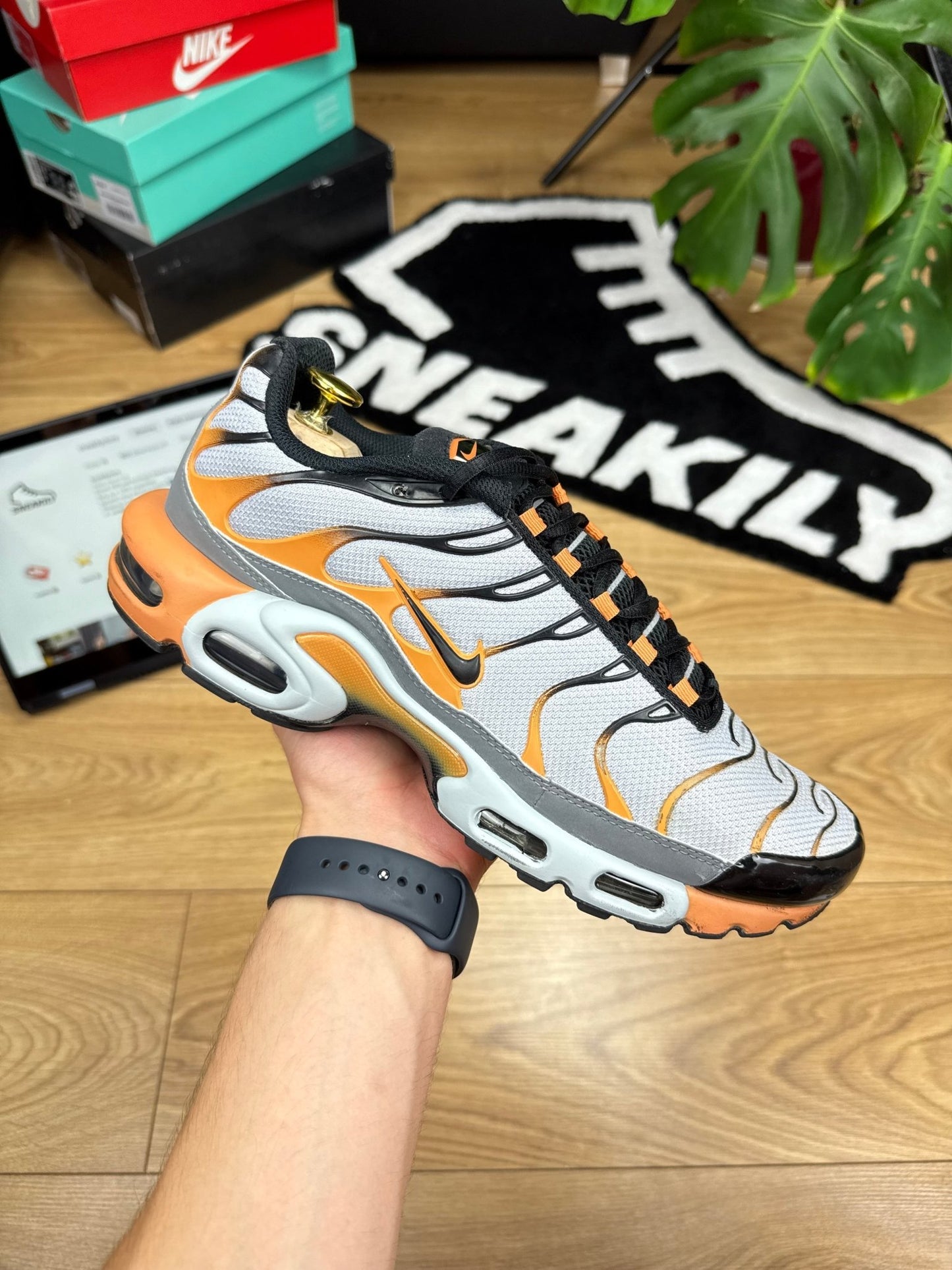 Nike Air Max Plus TN (44)