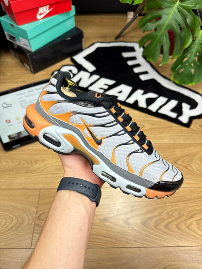 Nike Air Max Plus TN (44)