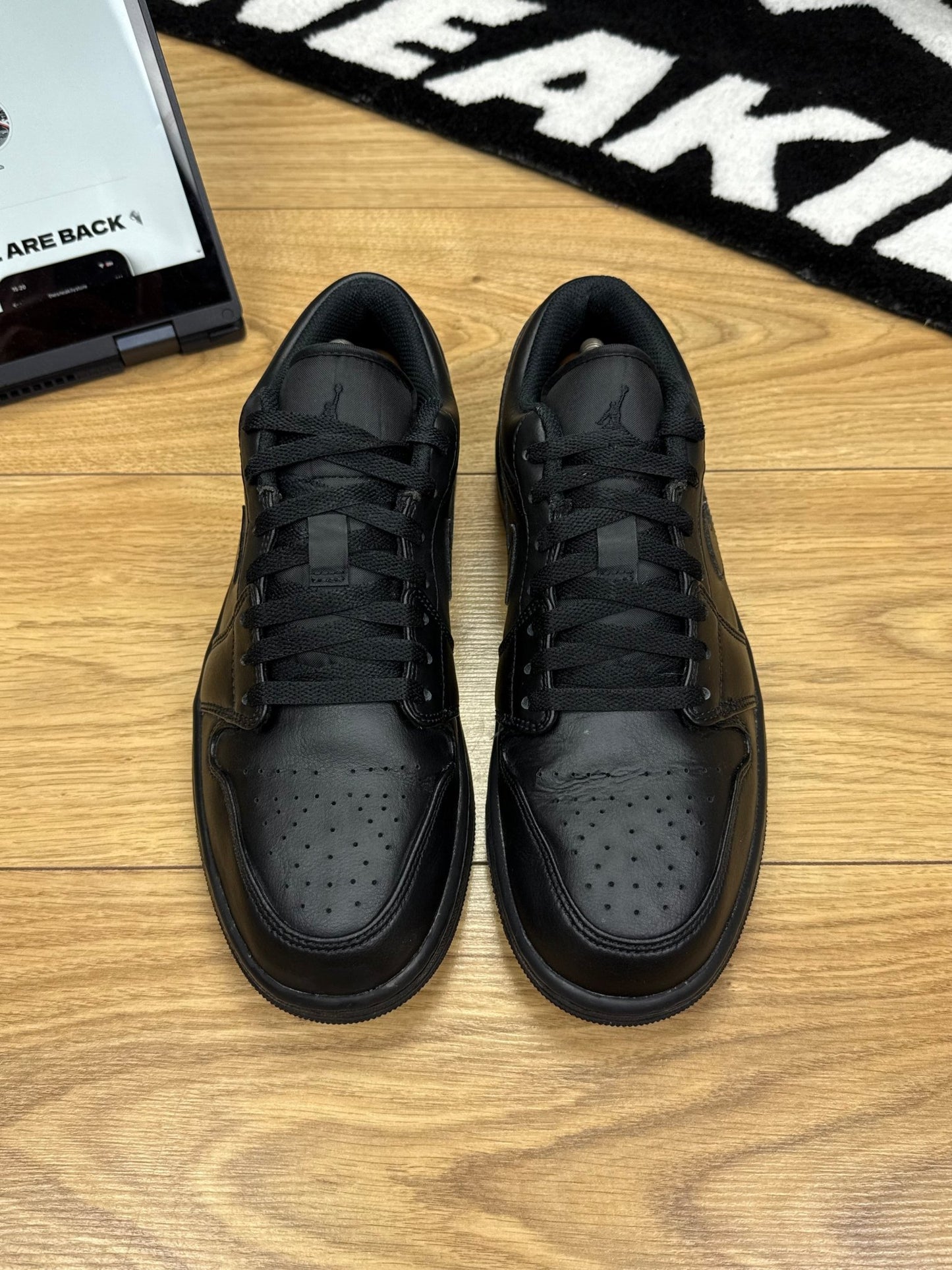 Nike Air Jordan 1 Low (44)