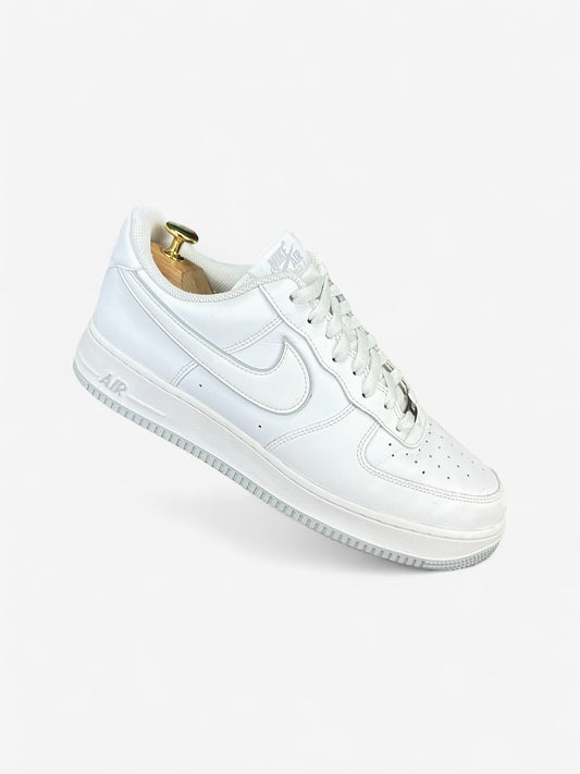 Nike Air Force 1 Low (45)