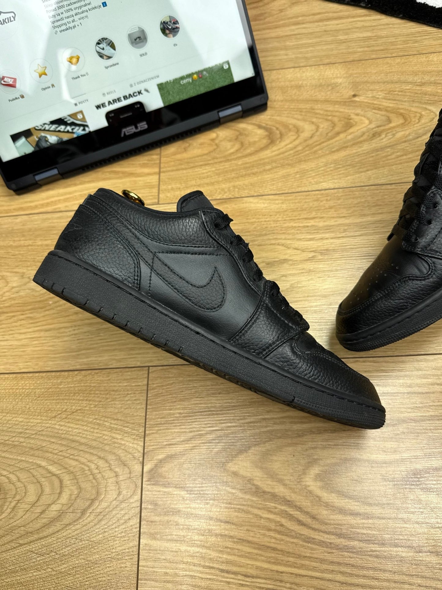 Nike Air Jordan 1 Low (44)