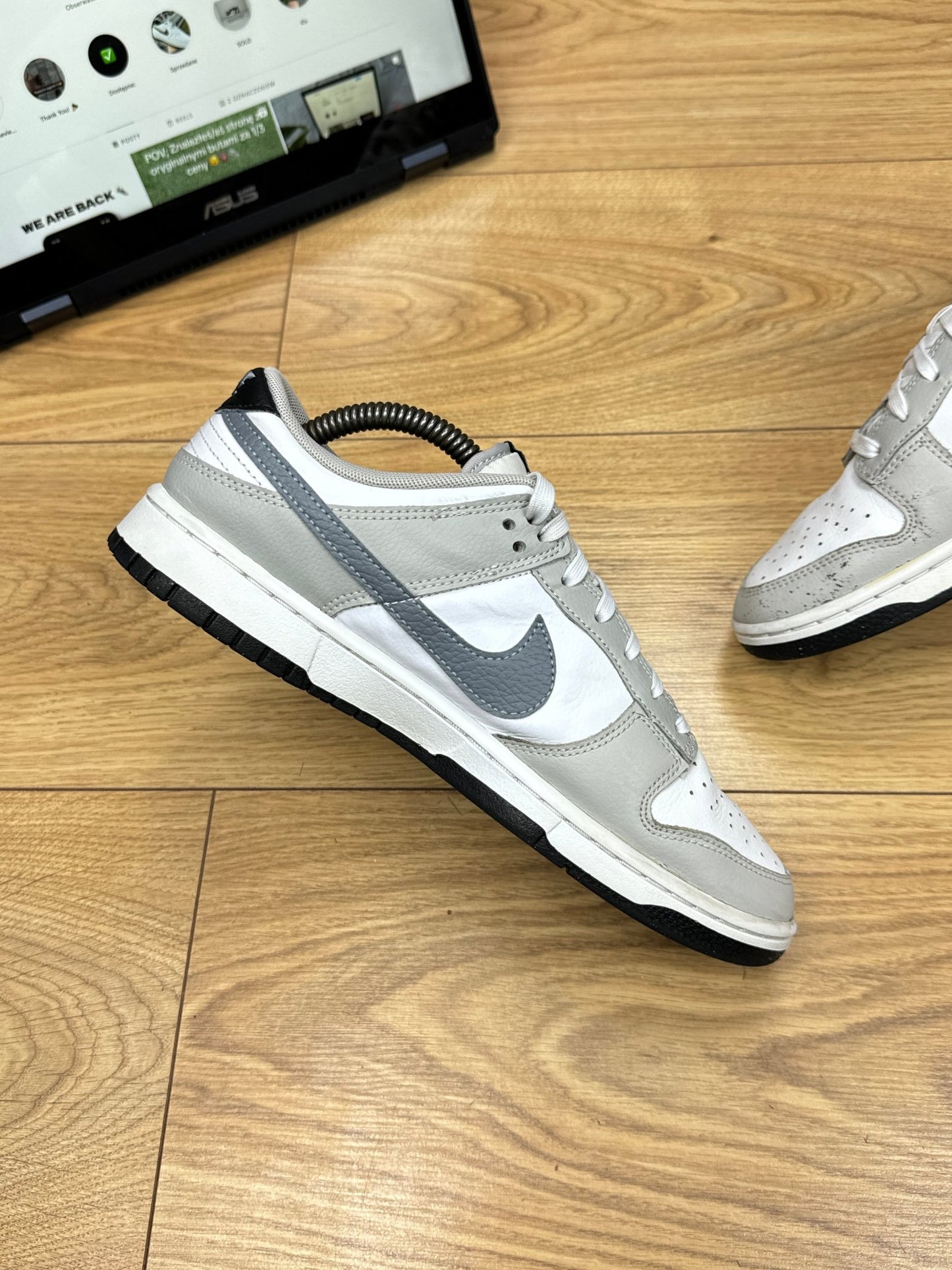 Nike Dunk Low (42)