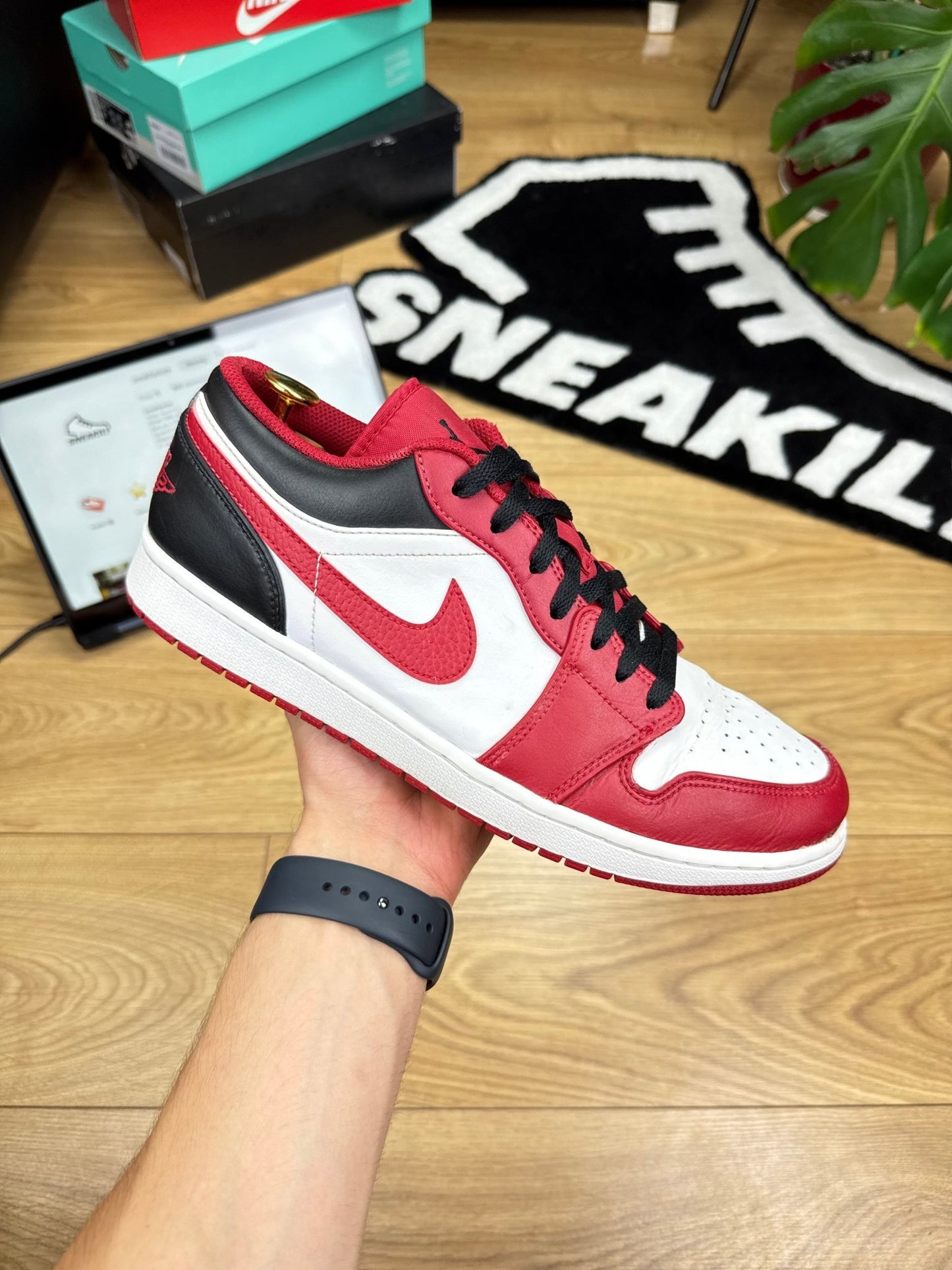 Nike Air Jordan 1 Low (46)
