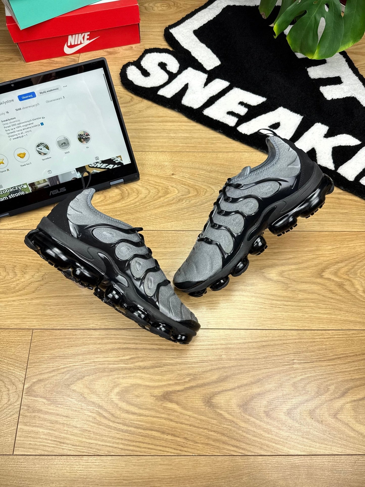 Nike Air Vapormax Plus (45)