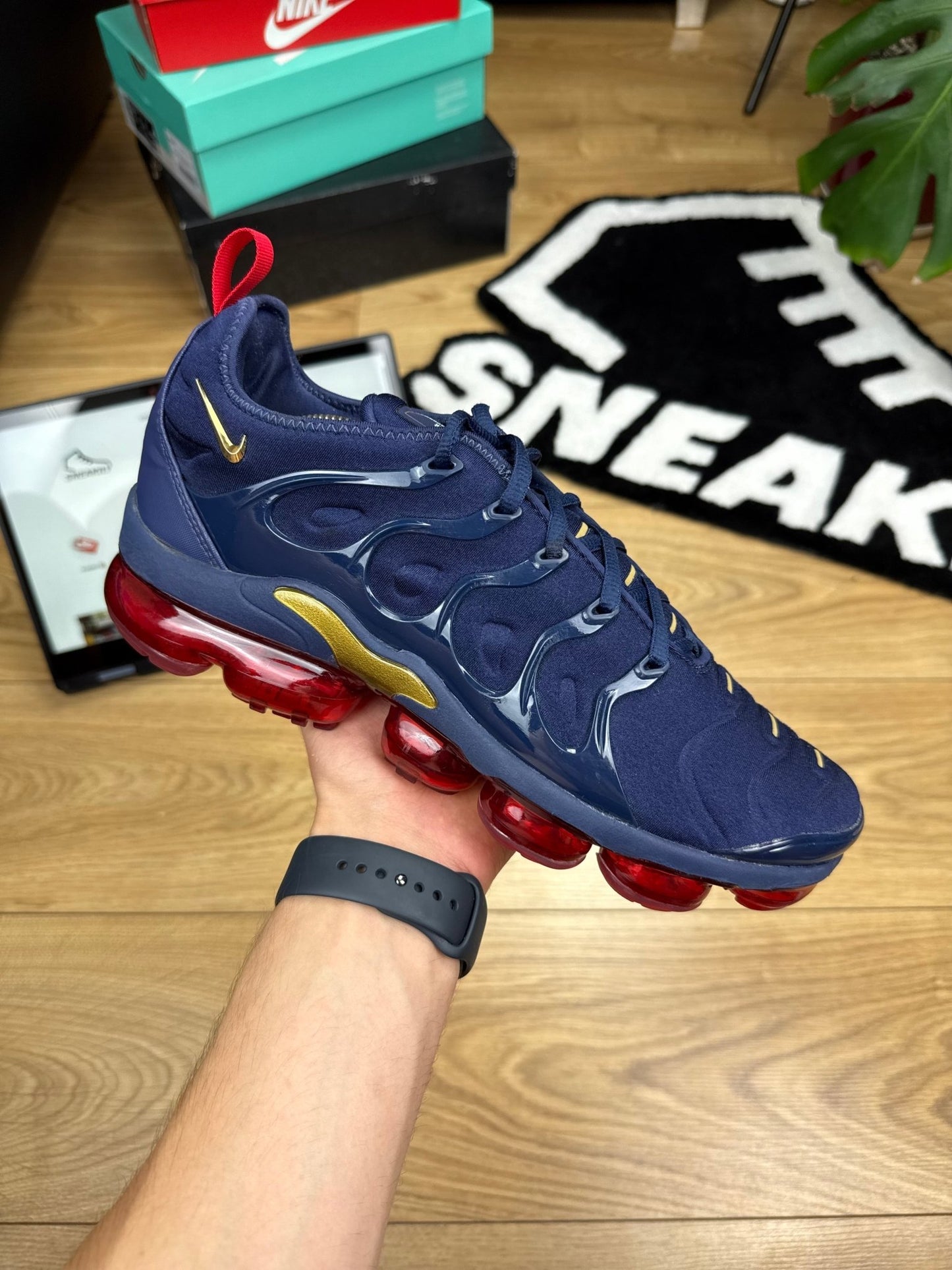 Nike Air Vapormax Plus (44)