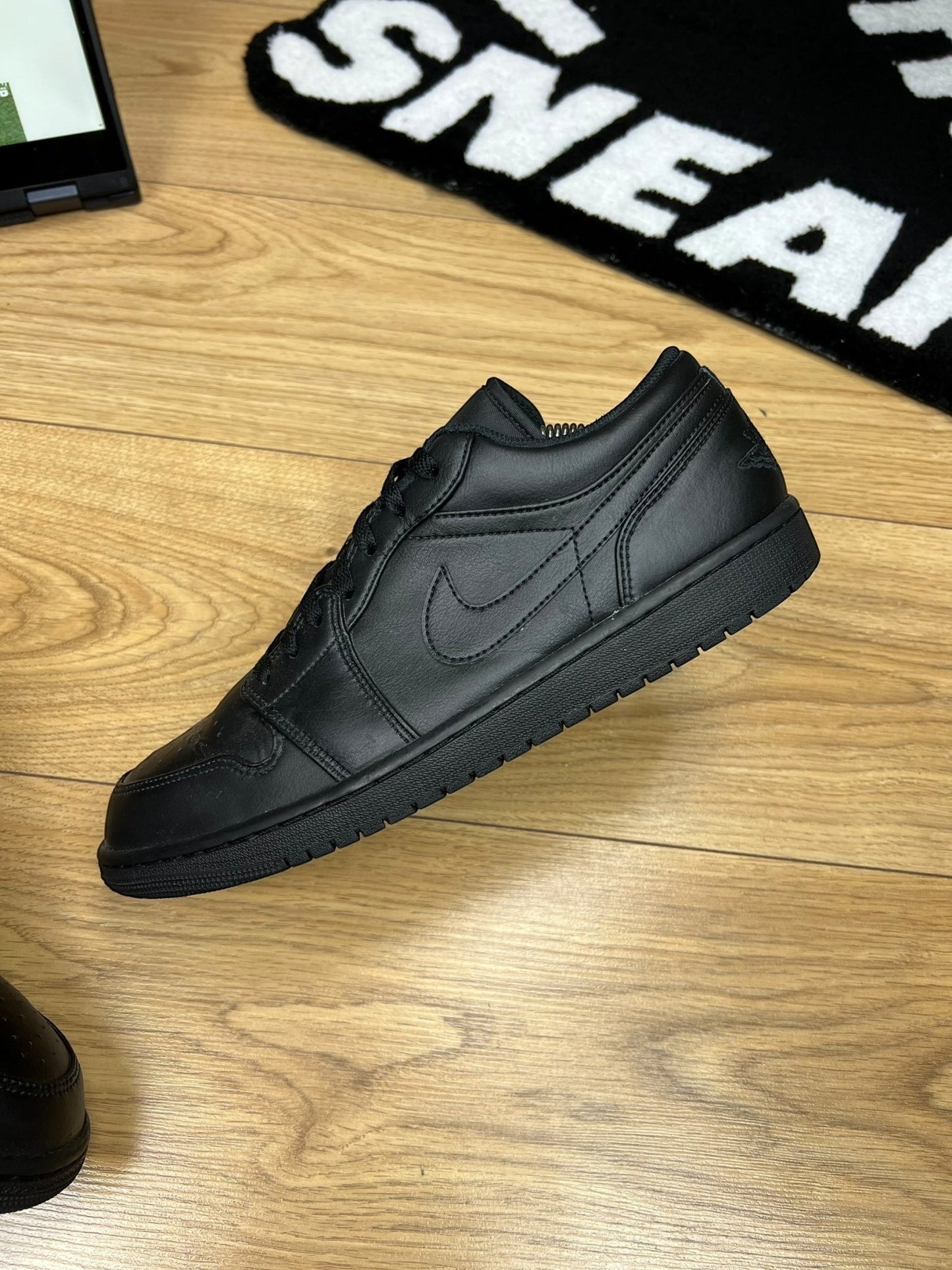 Nike Air Jordan 1 Low (45)