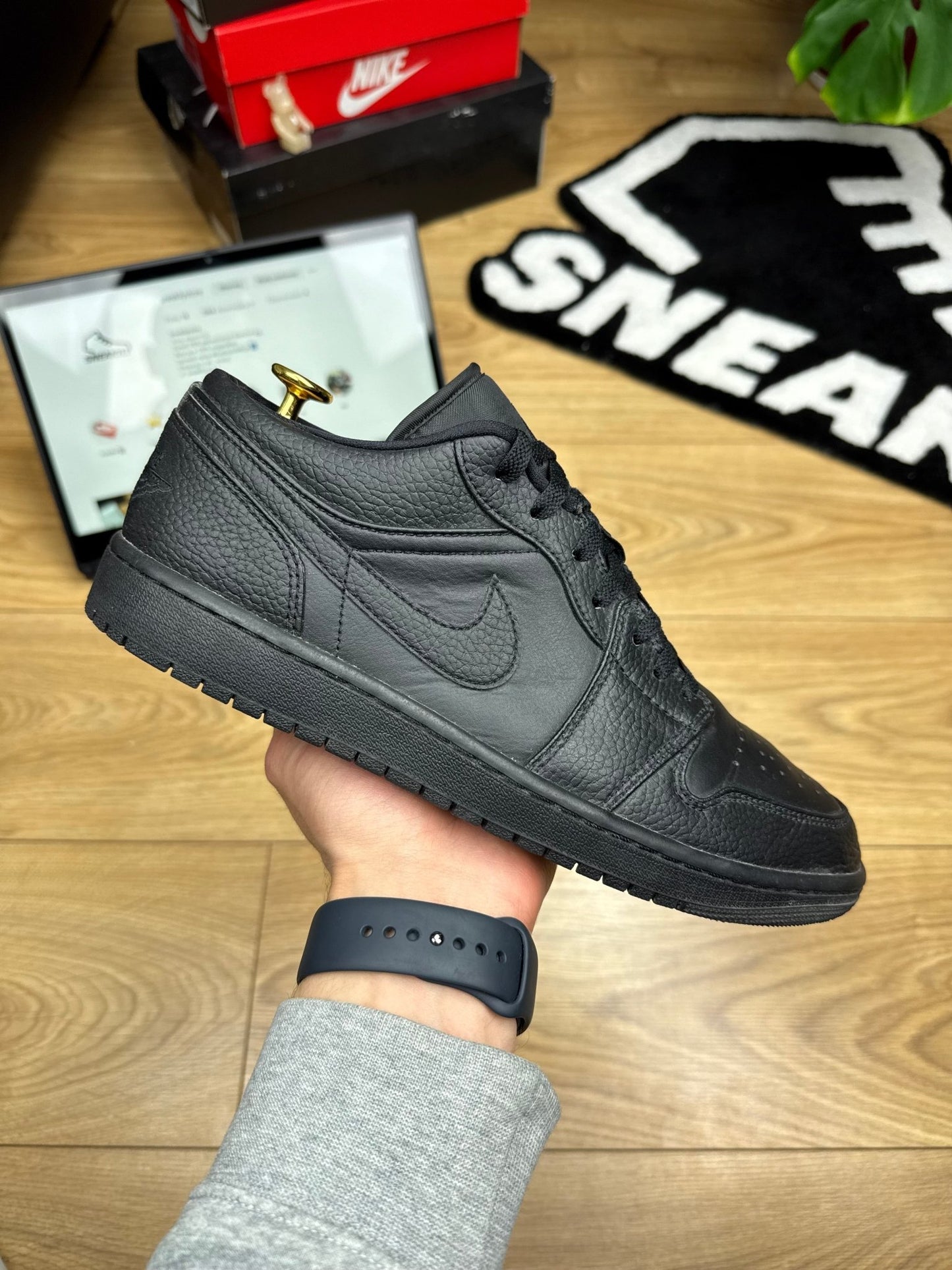 Nike Air Jordan 1 Low (44)