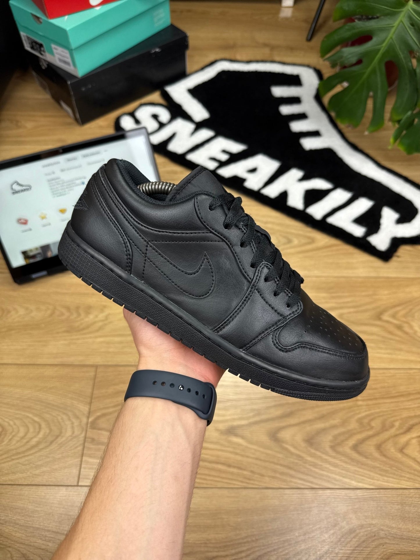 Nike Air Jordan 1 Low (44)