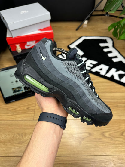 Nike Air Max 95 (43)