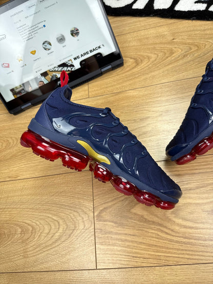 Nike Air Vapormax Plus (44)