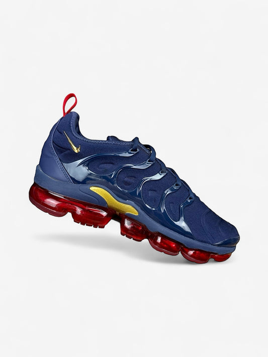 Nike Air Vapormax Plus (44)