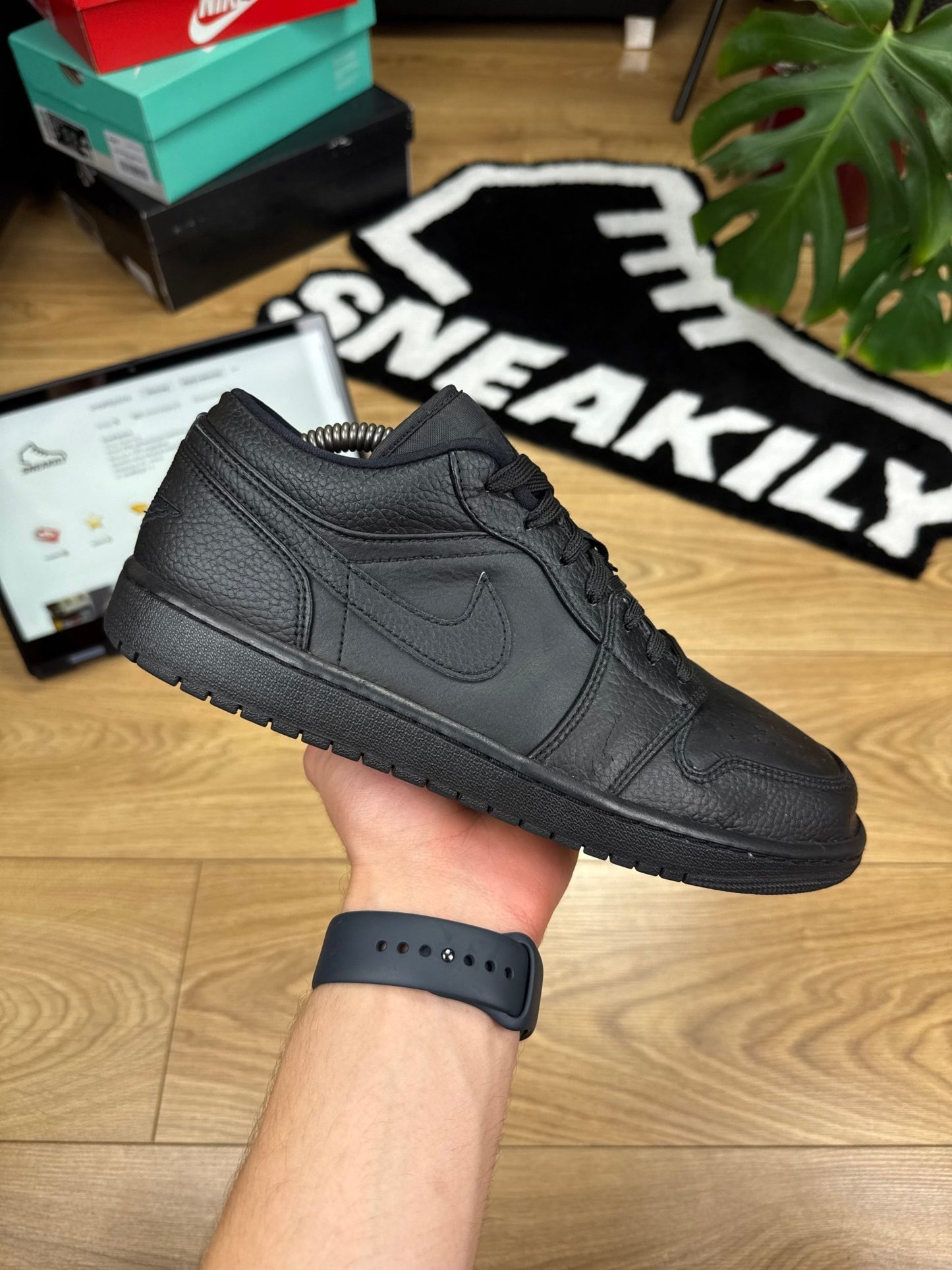 Nike Air Jordan 1 Low (43)