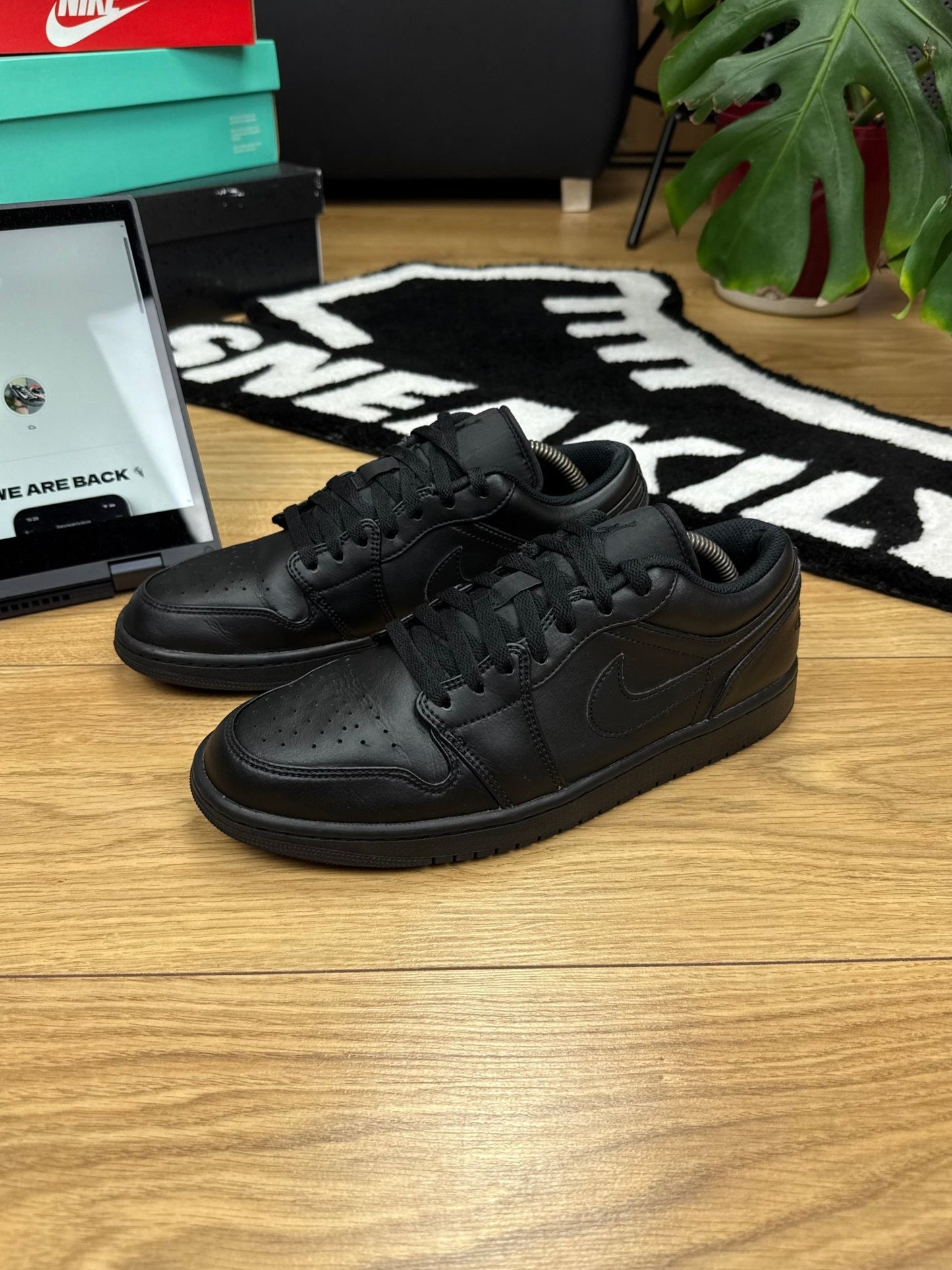 Nike Air Jordan 1 Low (44)