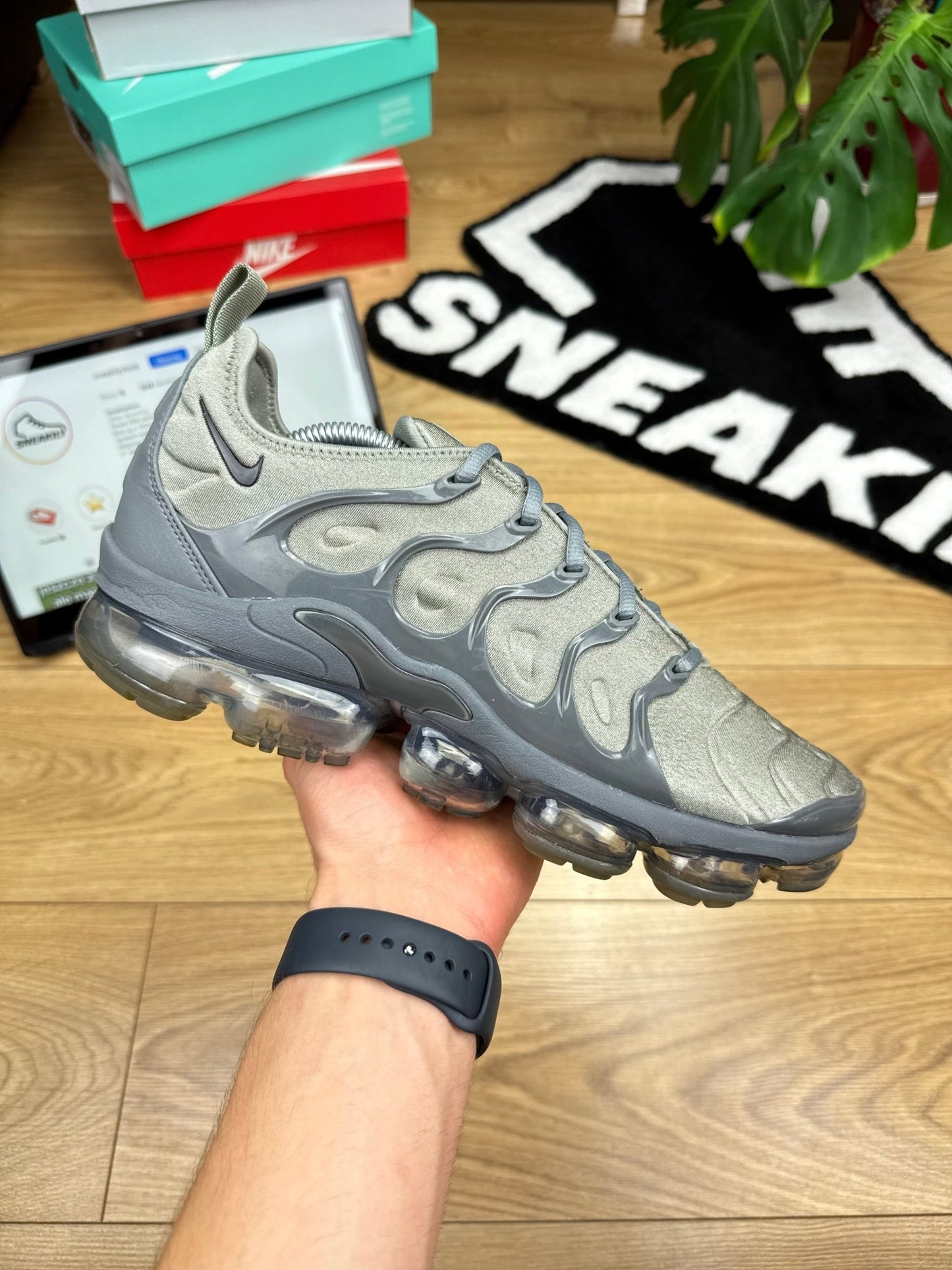 Nike Air Vapormax Plus (45)