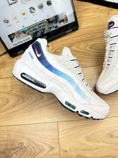 Nike Air Max 95 (46)