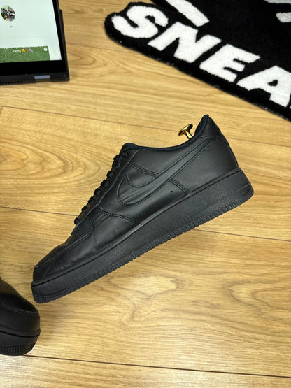 Nike Air Force 1 Low (43)