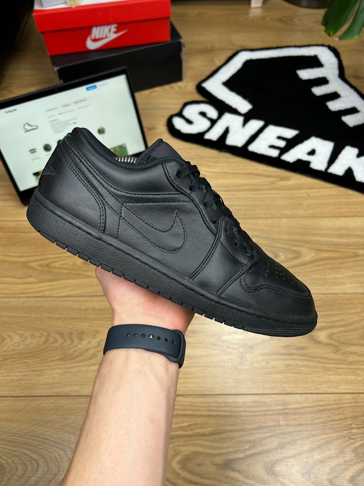 Nike Air Jordan 1 Low (45)