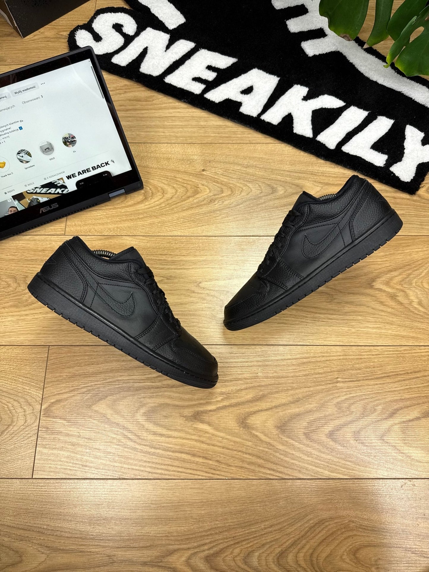 Nike Air Jordan 1 Low (43)