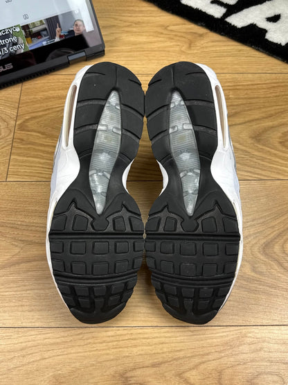 Nike Air Max 95 (43)