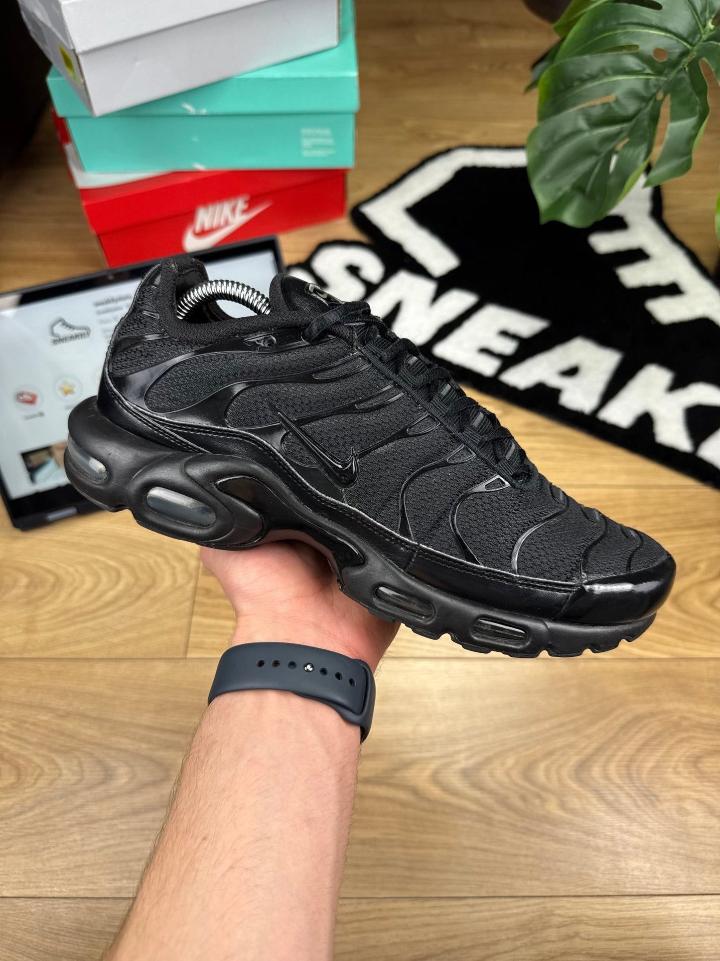 Nike Air Max Plus (44)