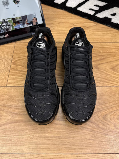 Nike Air Max Plus (44)